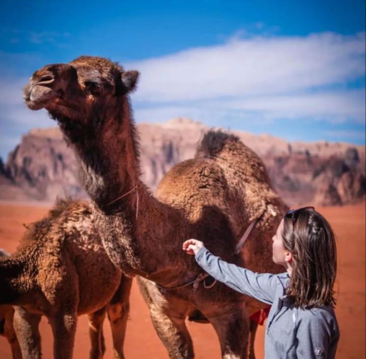 Joy Of Life - Wadi Rum Camp Exteriér fotografie